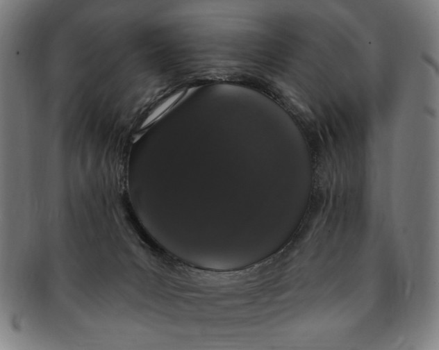 X0000091190031200709061023