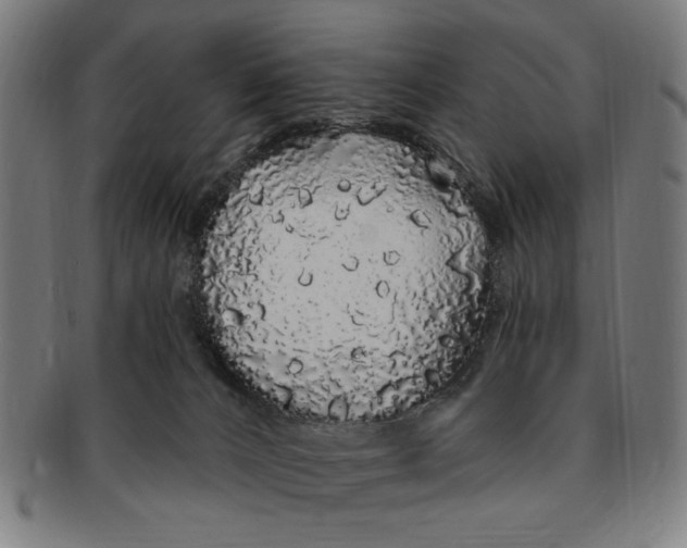 X0000091190032200709061023