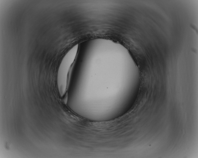 X0000091190033200709061023