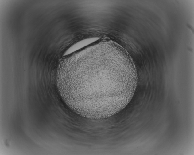 X0000091190034200709061023