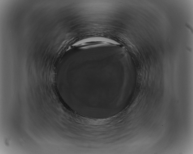 X0000091190035200709061023