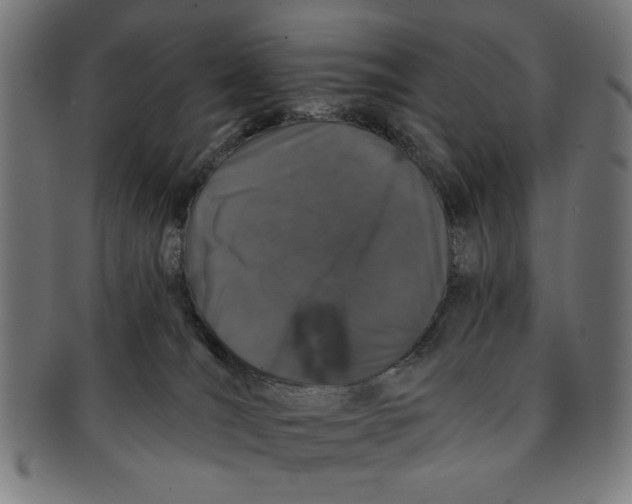 X0000091190036200709061023