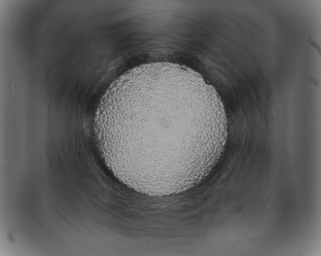 X0000091190038200709061023