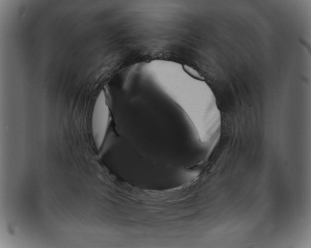 X0000091190039200709061023