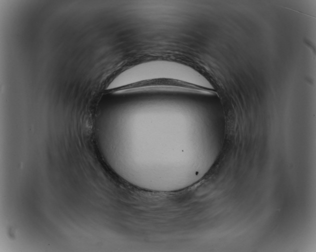 X0000091190040200709061023