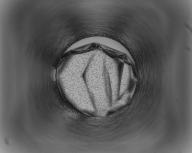 X0000091190041200709061022