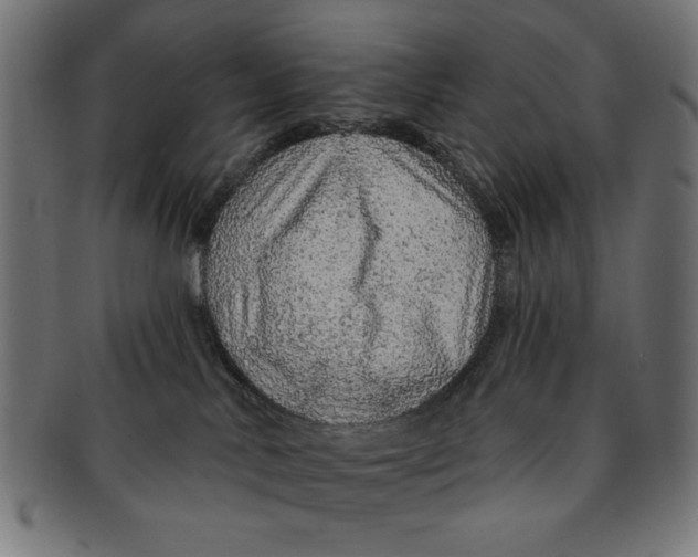 X0000091190042200709061022