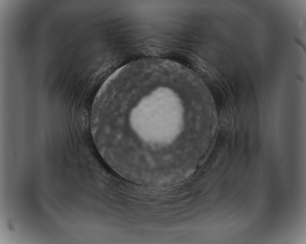 X0000091190043200709061022