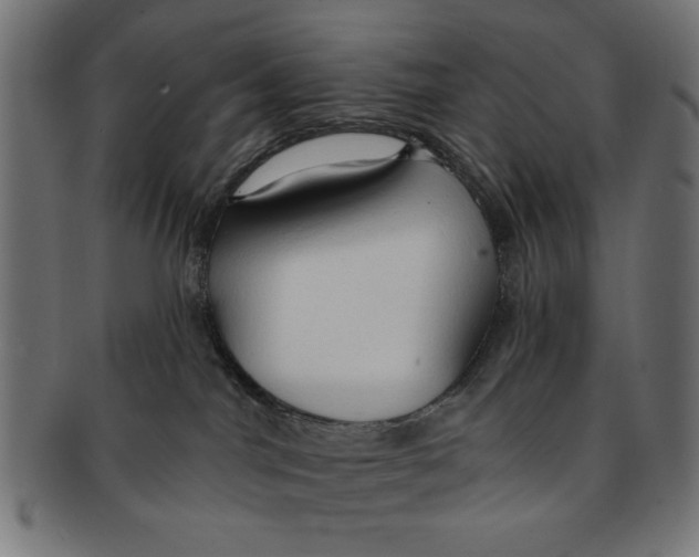 X0000091190044200709061022