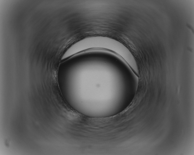 X0000091190045200709061022