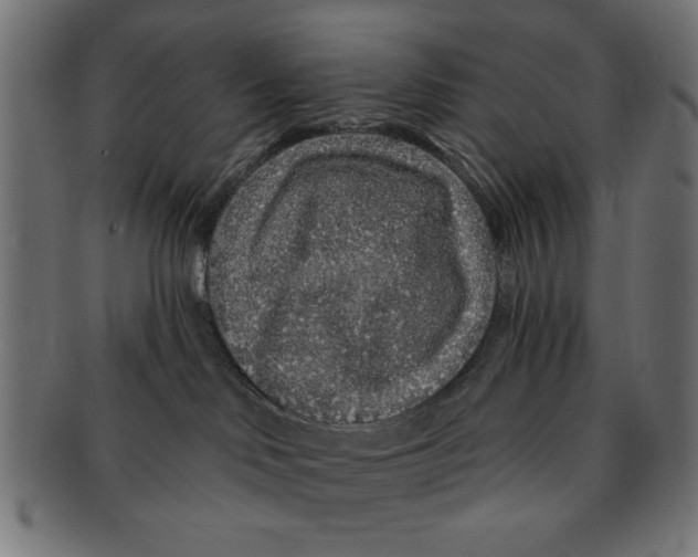 X0000091190046200709061022