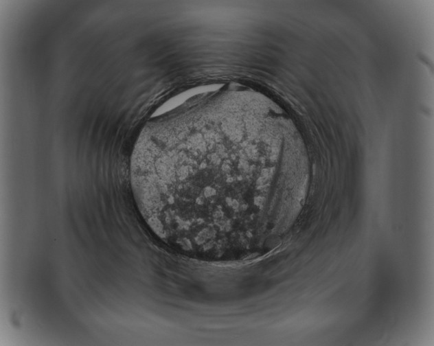 X0000091190048200709061022