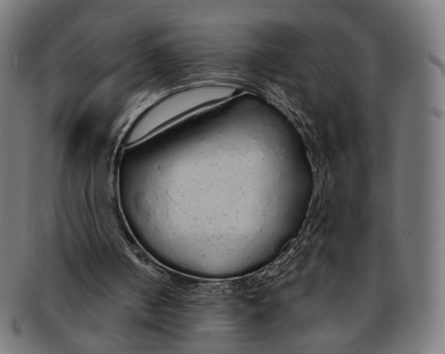 X0000091190050200709061022