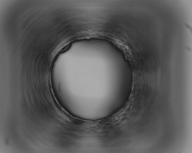 X0000091190051200709061022