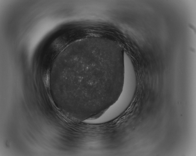 X0000091190052200709061022