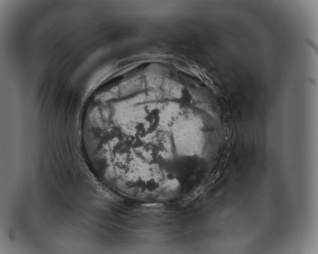 X0000091190053200709061022