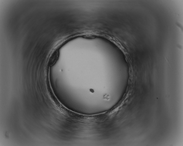 X0000091190055200709061022