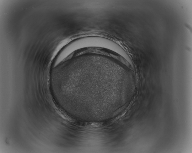 X0000091190056200709061022