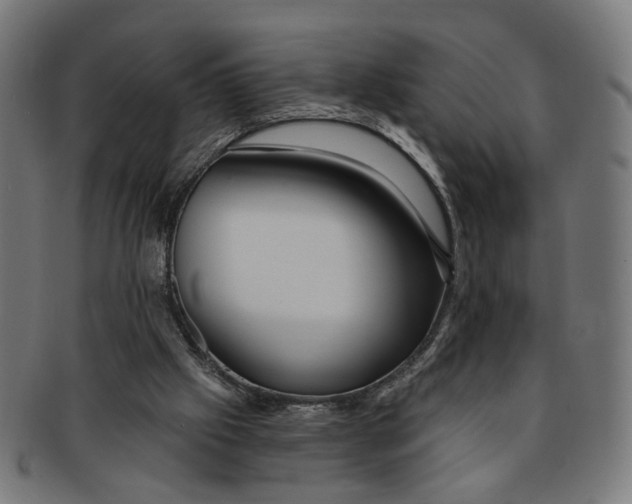 X0000091190057200709061022