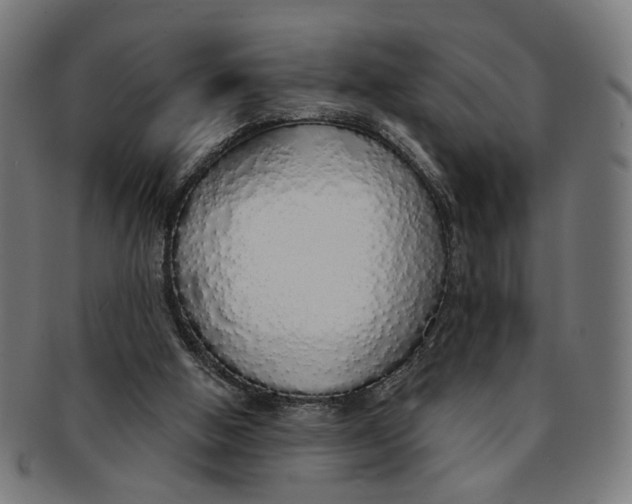 X0000091190058200709061022