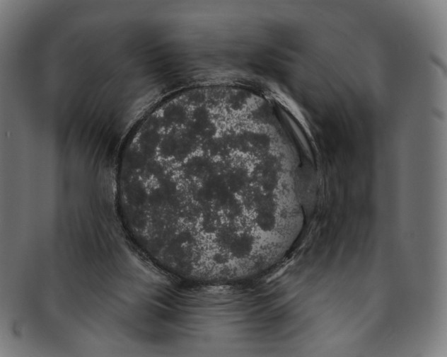 X0000091190059200709061022