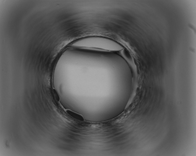 X0000091190060200709061022