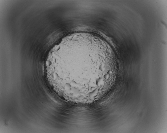 X0000091190061200709061022