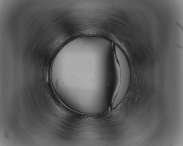 X0000091190062200709061022