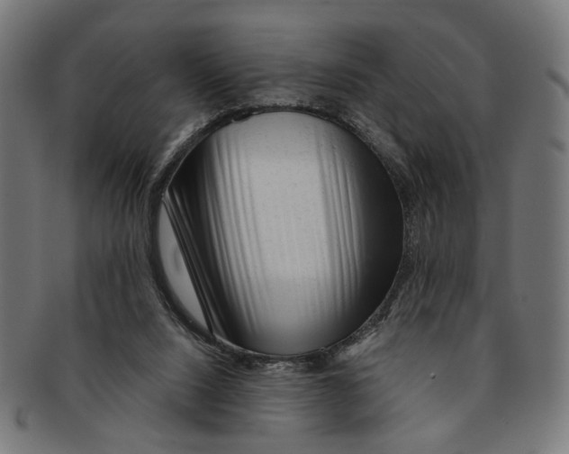 X0000091190064200709061022