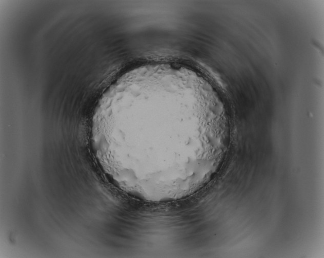 X0000091190065200709061022