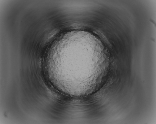 X0000091190066200709061022