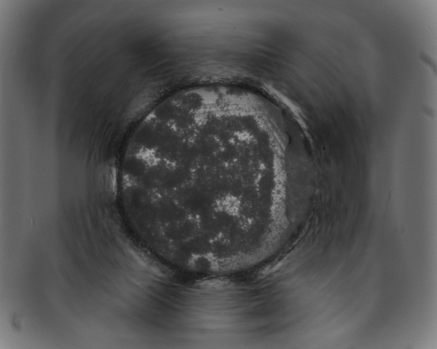 X0000091190067200709061022