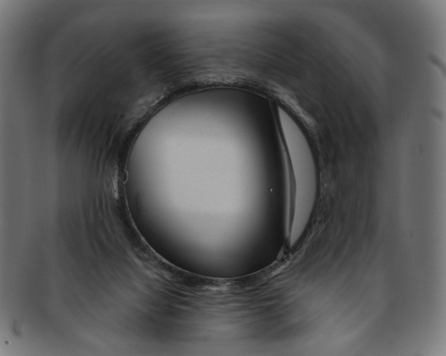 X0000091190068200709061022