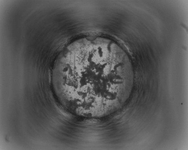 X0000091190069200709061022