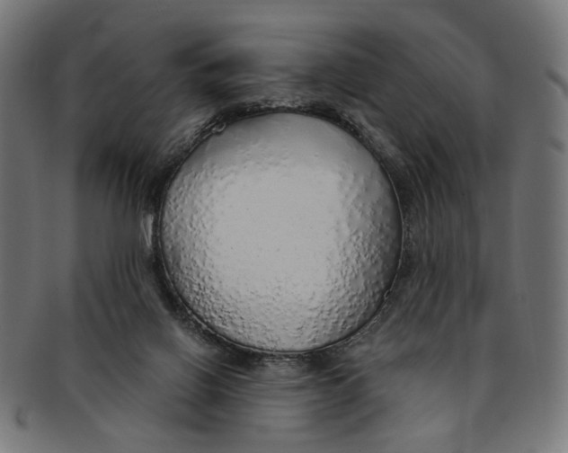 X0000091190070200709061022