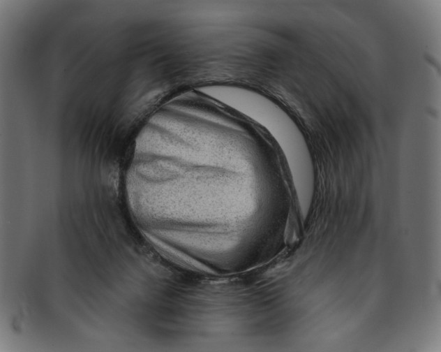 X0000091190072200709061022