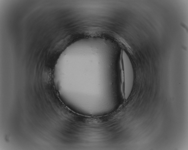 X0000091190073200709061022