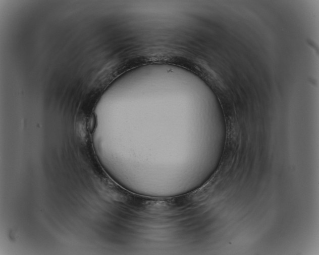 X0000091190074200709061022