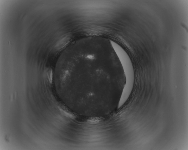 X0000091190076200709061022