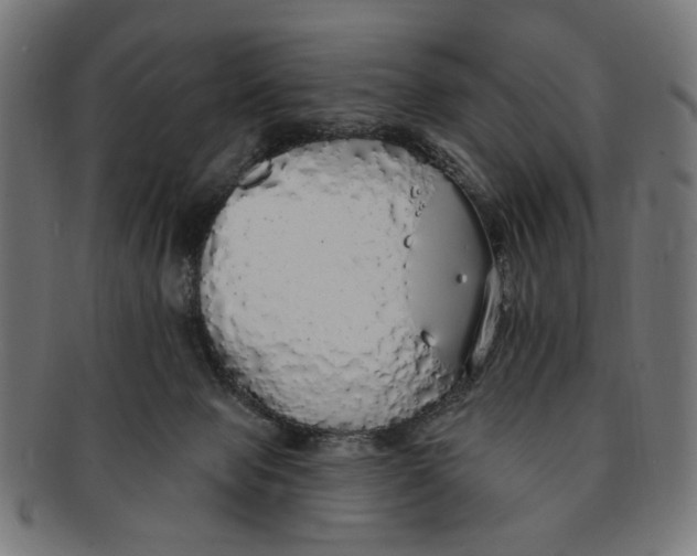 X0000091190077200709061022