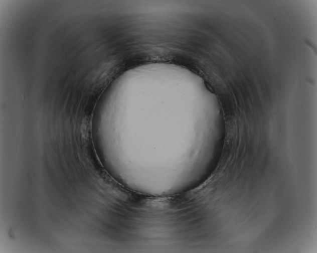 X0000091190078200709061022