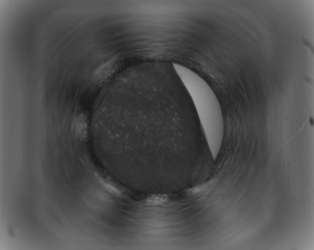 X0000091190080200709061022