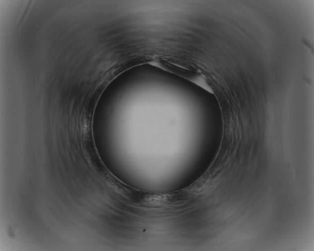 X0000091190084200709061022