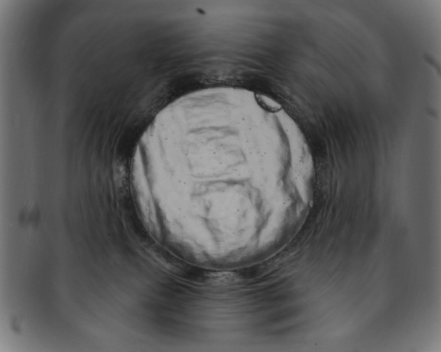 X0000091190087200709061022