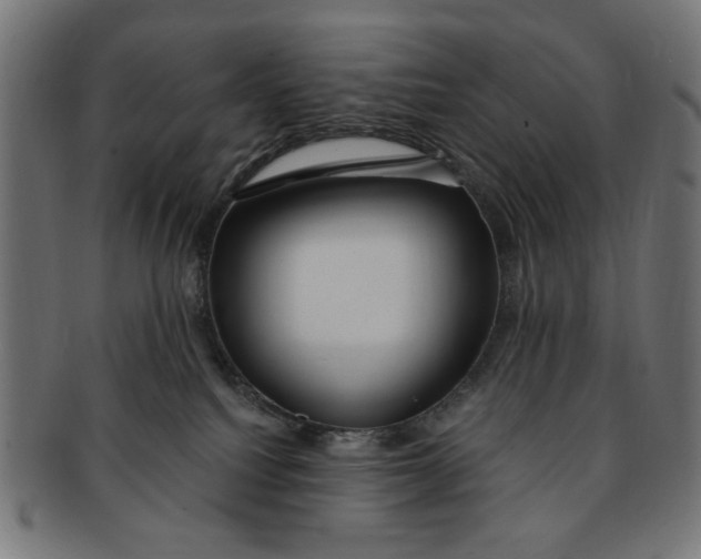 X0000091190088200709061022