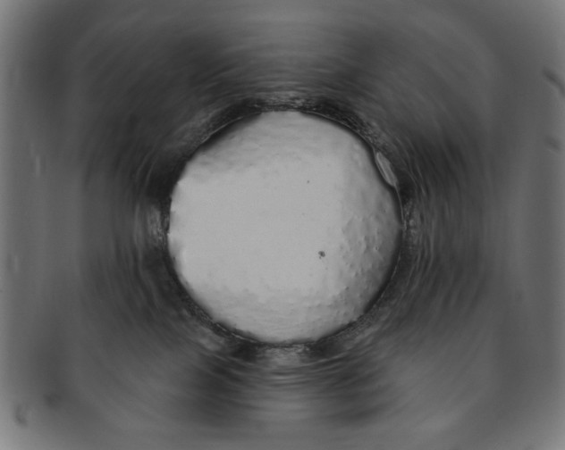 X0000091190089200709061022