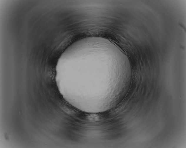 X0000091190091200709061022