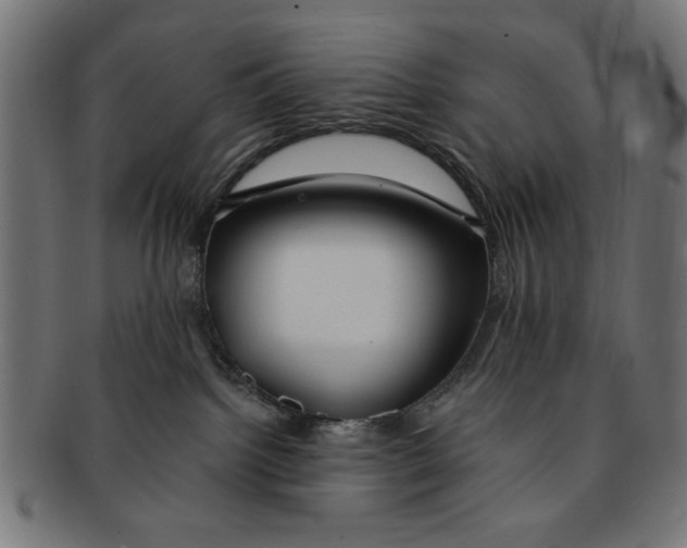 X0000091190092200709061022