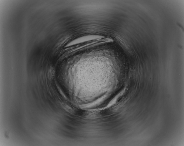 X0000091190093200709061022