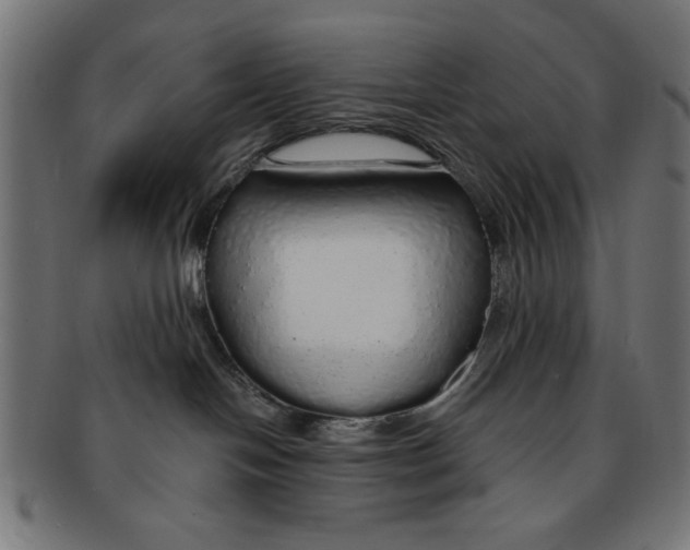 X0000091190094200709061022